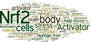 Screen Shot 2015-06-10 at 11.00.27 AM