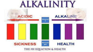 Screen Shot 2015-10-20 at 11.11.17 AM